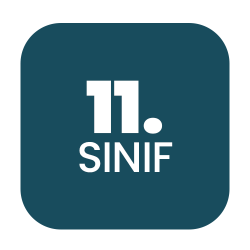 11. SINIF